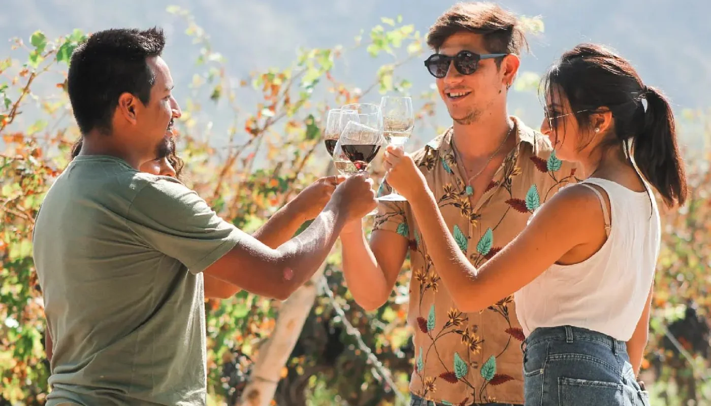 vasijasecretagataflora