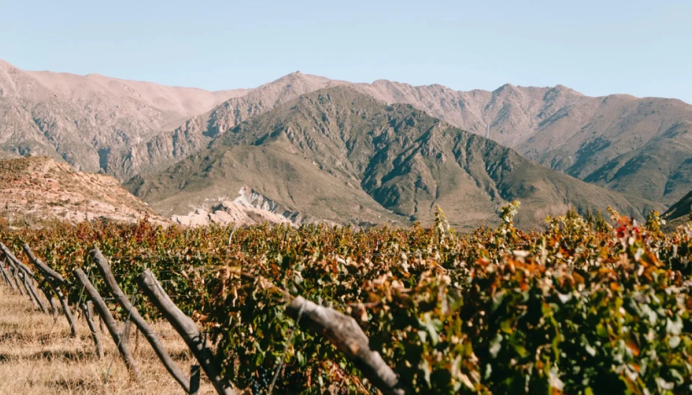 Bodega Agustín Lanús Wines